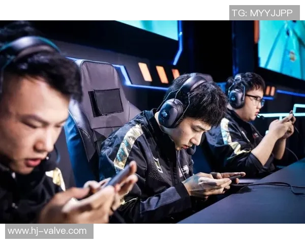 热议王者荣耀RNG战队力量变革背后的策略与未来展望 热议王者荣耀RNG战队力量变革背后的策略与未来展望